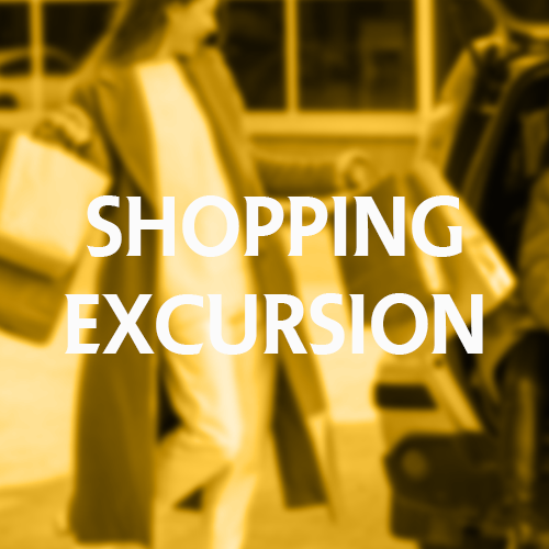 shopping shopping